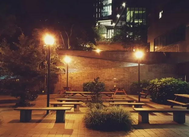 香港大學(xué)圖片校園美景有哪些（香港大學(xué)畢業(yè)珍藏版美圖）