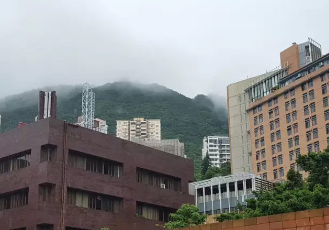 香港大學(xué)圖片校園美景有哪些（香港大學(xué)畢業(yè)珍藏版美圖）