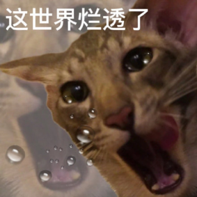 2023年USNews世界大學排名！港中文首超港大列港校第1
