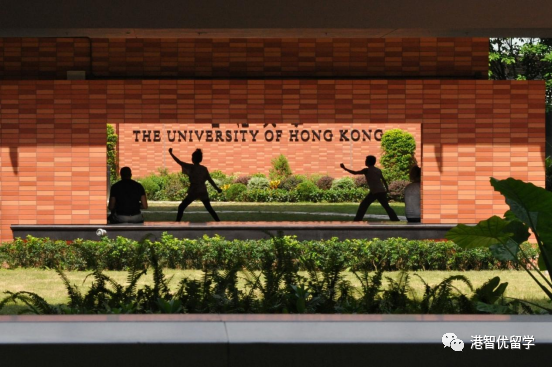 香港大學、香港中文大學的夏校如何申請？