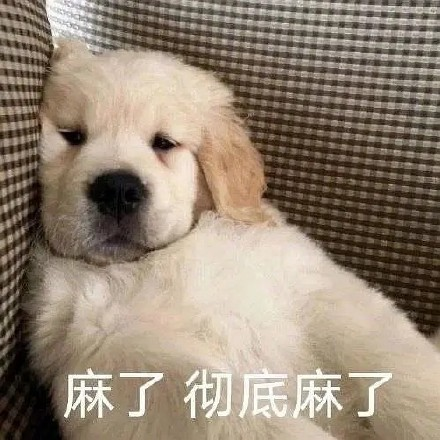 留學(xué)生10大最難學(xué)專業(yè) 金融竟然是最后一名？