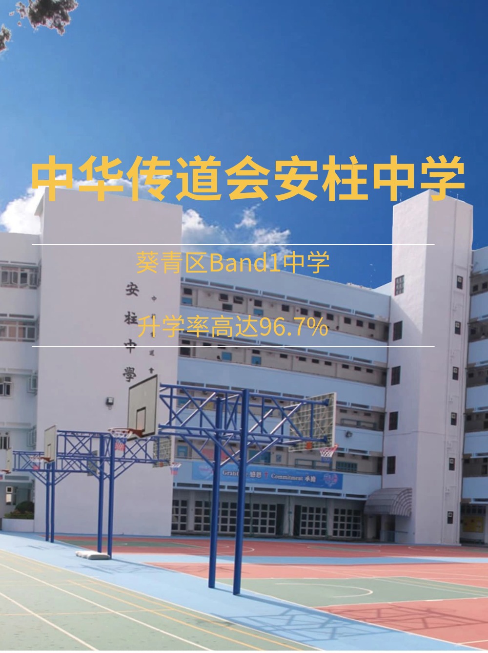中華傳道會安柱中學(xué) 升學(xué)率高達(dá)96.7%
