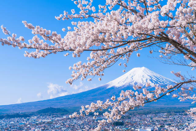 日本自由行】在地人推薦的50個(gè)日本景點(diǎn)！日本旅遊全攻略| tsunagu Japan 繫日本