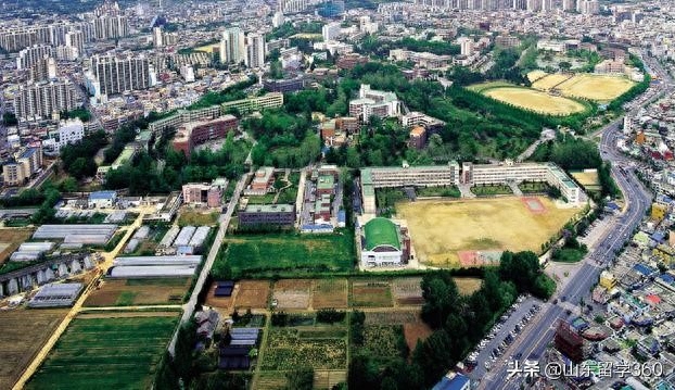 延邊大學(xué)韓國留學(xué)生學(xué)費(fèi)是多少,赴韓留學(xué)各項費(fèi)用全指南(圖2)
