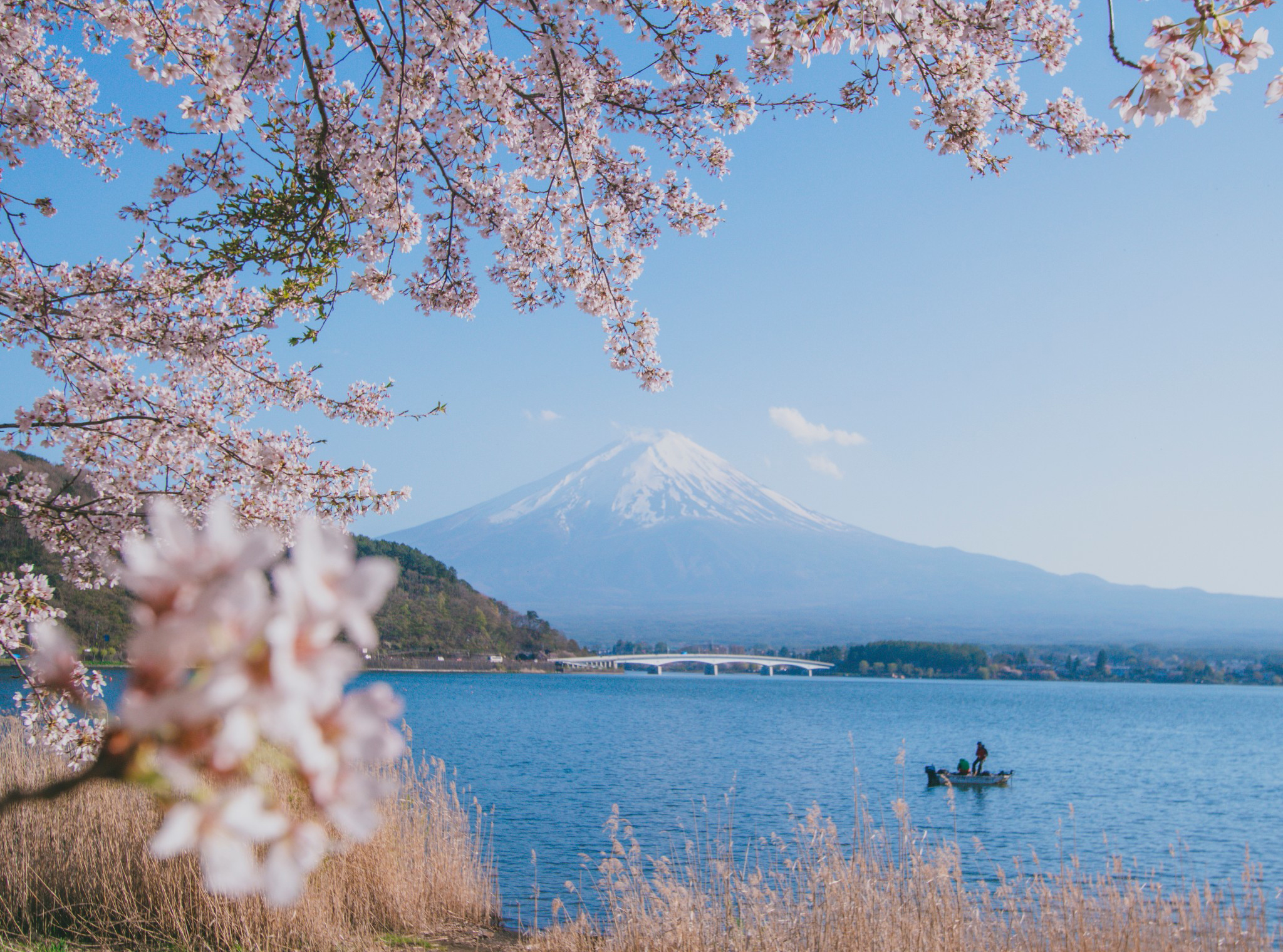 日本旅游_日本旅游購物必買單品 - 隨意優(yōu)惠券