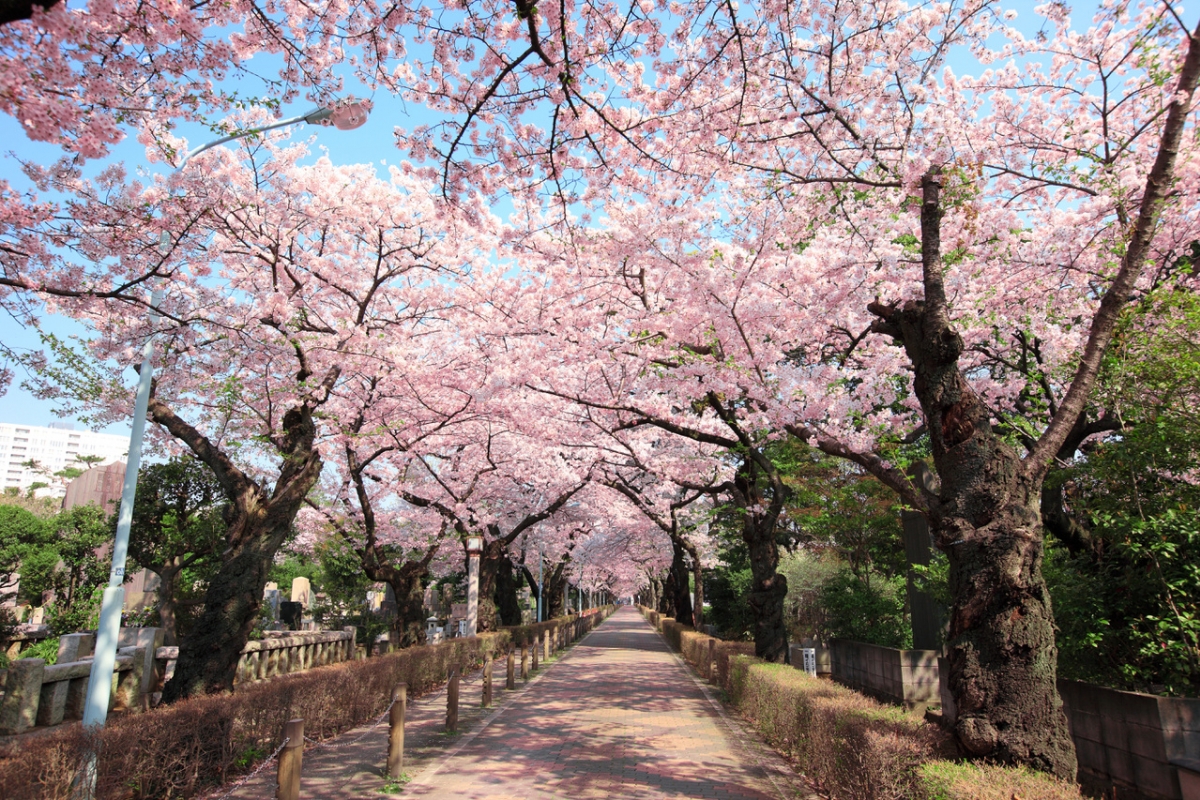 日本街道壁紙高清_日本街道高清壁紙_微信公眾號文章
