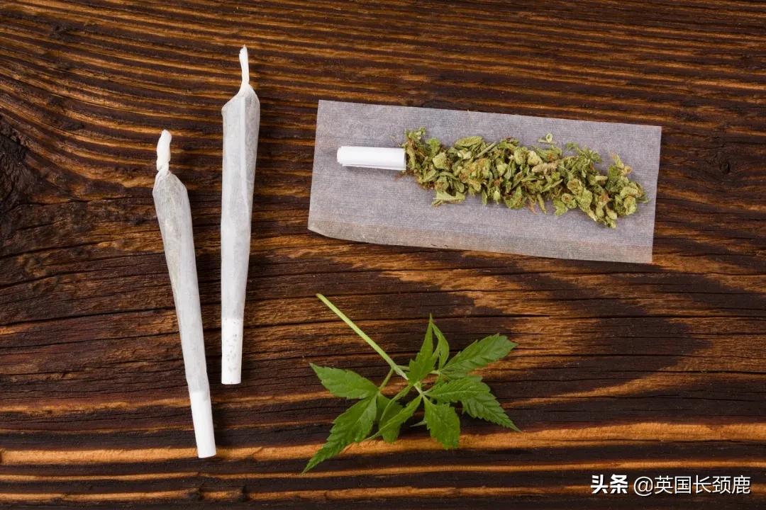 英國(guó)留學(xué)能帶什么藥品,最全的英國(guó)留學(xué)藥品清單一覽(圖17)