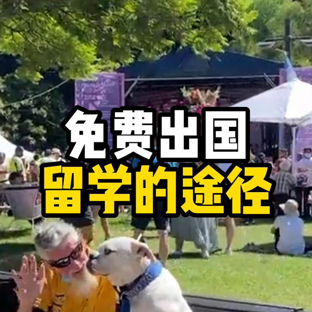 免費留學的途徑你還不知道嗎？#海外生活