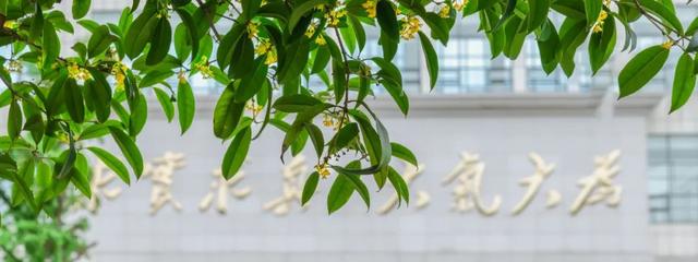 【2024】電子科技大學出國留學預備教育春季銜接班2024年招生簡章