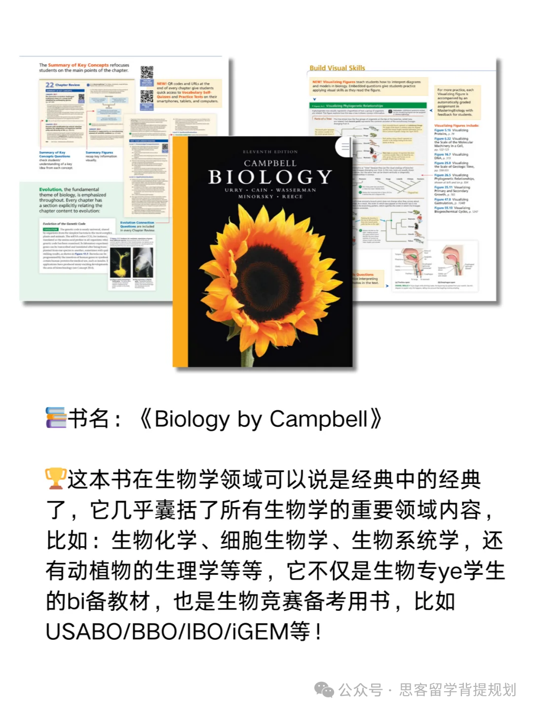 生物頂流競(jìng)賽｜美國(guó)生物奧賽USABO詳解，bio usacn和USABO是什么關(guān)系？