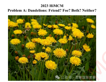 HiMCM競賽歷年賽題拆解分析，沖美本top30%的學(xué)生都在看！