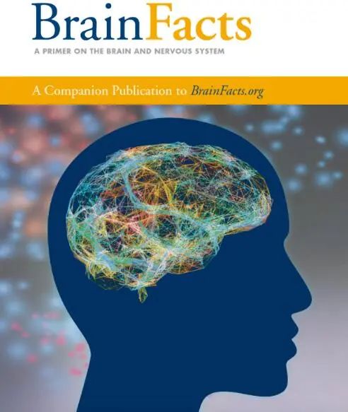 準(zhǔn)備Brainbee競(jìng)賽備考難點(diǎn)有哪些？Brainbee競(jìng)賽備考書(shū)籍（電子版可領(lǐng)）！