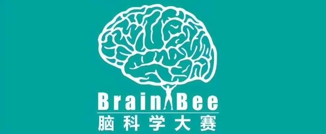 準(zhǔn)備Brainbee競(jìng)賽備考難點(diǎn)有哪些？Brainbee競(jìng)賽備考書(shū)籍（電子版可領(lǐng)）！