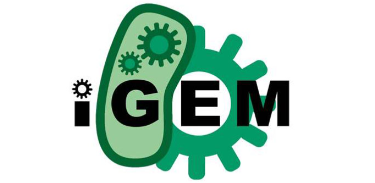 USABO、BBO、BrainBee、IGEM、HOSA五大國際生物競(jìng)賽！真心建議大家參加