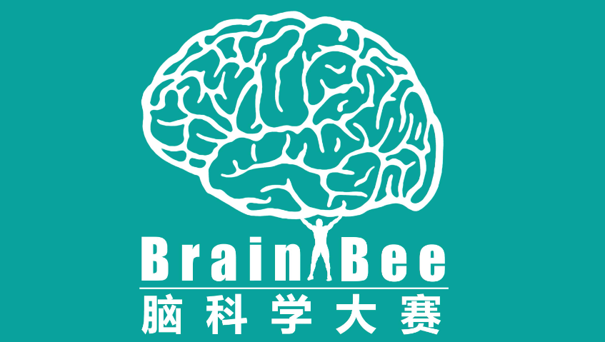 USABO、BBO、BrainBee、IGEM、HOSA五大國際生物競(jìng)賽！真心建議大家參加