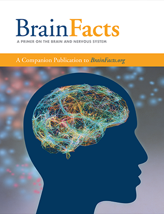 2025BrainBee腦科學(xué)活動常見問題解答~附BrainBee真題