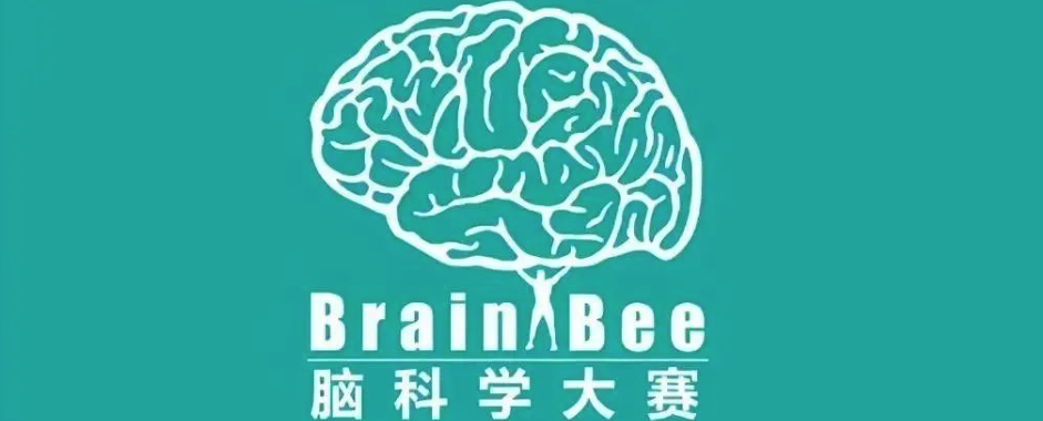Brain bee腦科學(xué)競賽概述！備賽組別/備考建議/培訓(xùn)安排~