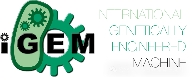 IGEM報名方式是怎樣的？IGEM報名費是多少？
