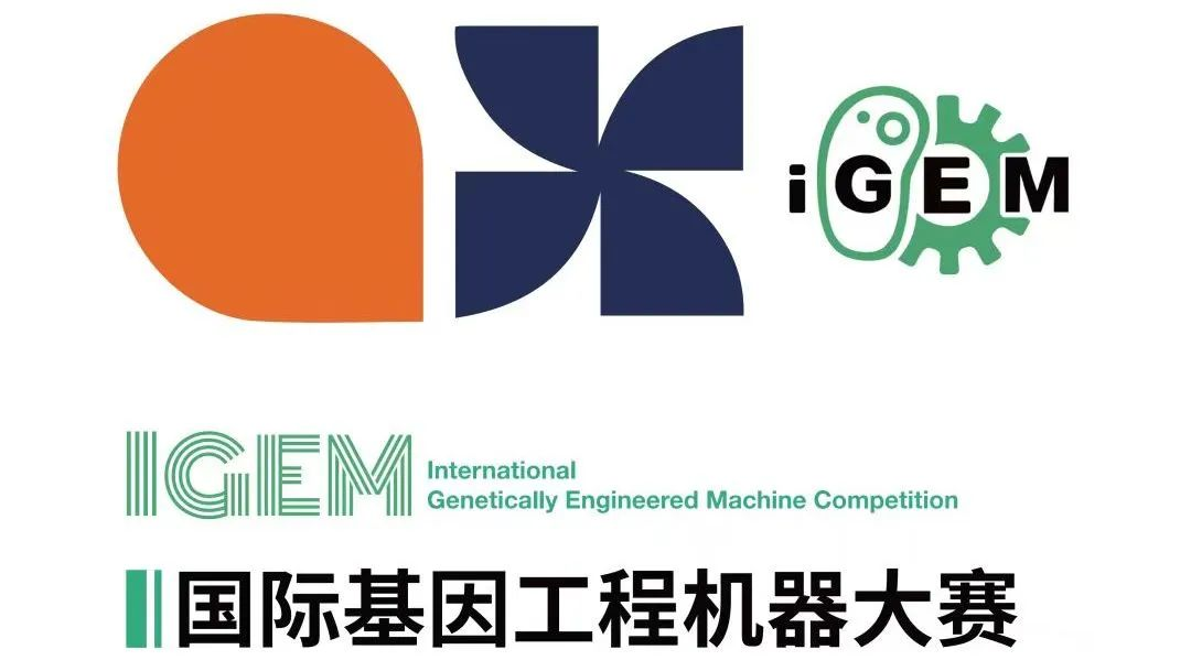 iGEM獎(jiǎng)項(xiàng)設(shè)置如何？評(píng)獎(jiǎng)標(biāo)準(zhǔn)是怎樣的？