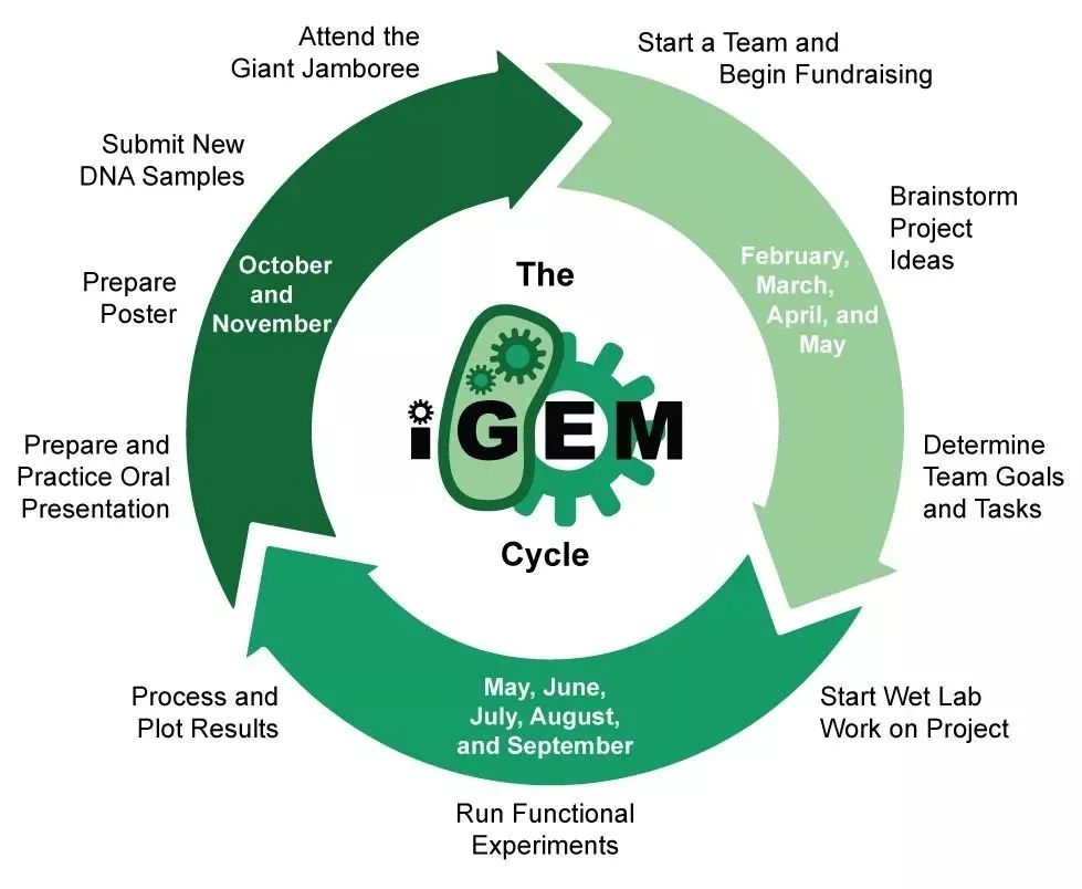 iGEM國(guó)際基因工程機(jī)器大賽，2023組隊(duì)報(bào)名進(jìn)行中！