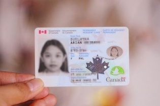 楓葉卡詳解，五年要更換，保留及入籍條件