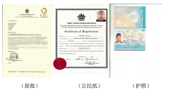 最新獲批移民案例分析，助你完美規(guī)避CRS