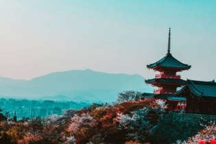 日本移民政策實施后，中國人占蜂擁而上