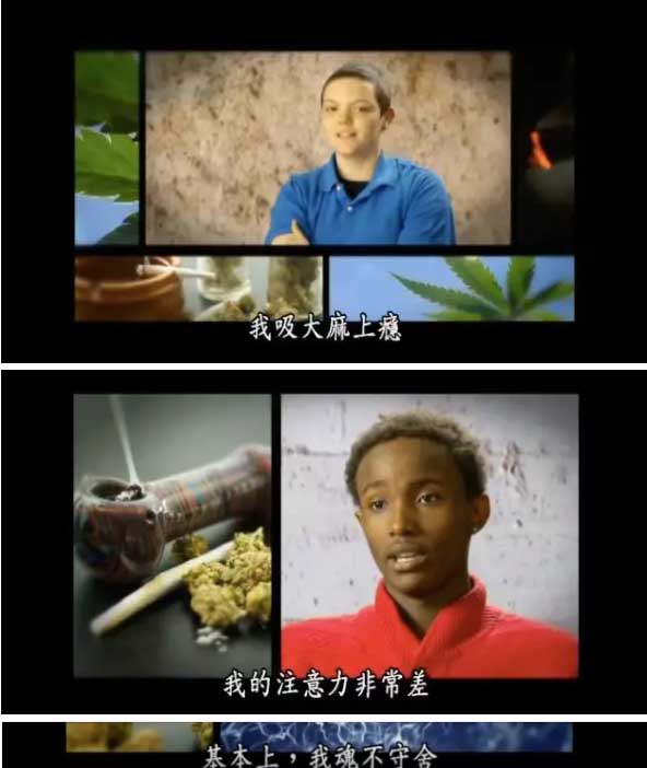 加州將通過新法案: 允許大麻合法進校園! 從幼稚園到高中“無一幸免”