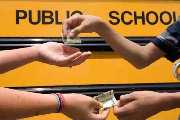 加州將通過新法案: 允許大麻合法進校園! 從幼稚園到高中“無一幸免”