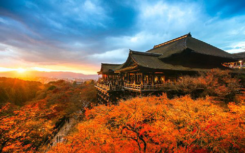 資深留學(xué)顧問解答日本留學(xué)簽證的種類