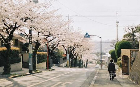 持有日本留學(xué)簽證福利有哪些