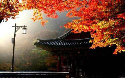 韓國留學(xué)簽證財(cái)產(chǎn)證明需要準(zhǔn)備哪些材料？