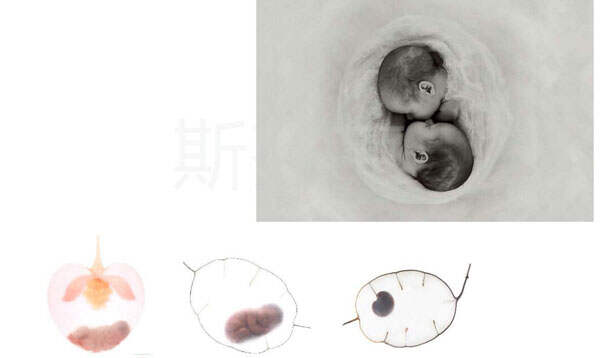 不止是央美成就了她的未來！