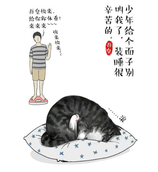 看白茶如何和中國風(fēng)插畫碰撞出火花
