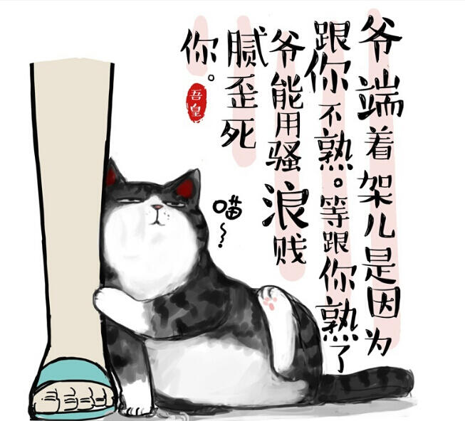 看白茶如何和中國風(fēng)插畫碰撞出火花