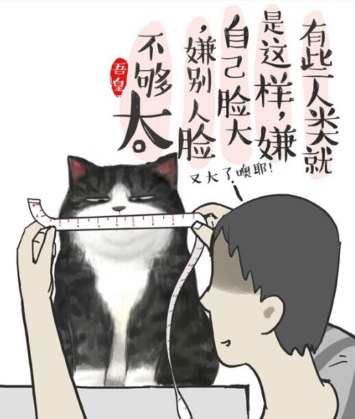 看白茶如何和中國風(fēng)插畫碰撞出火花