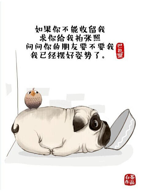 看白茶如何和中國風(fēng)插畫碰撞出火花