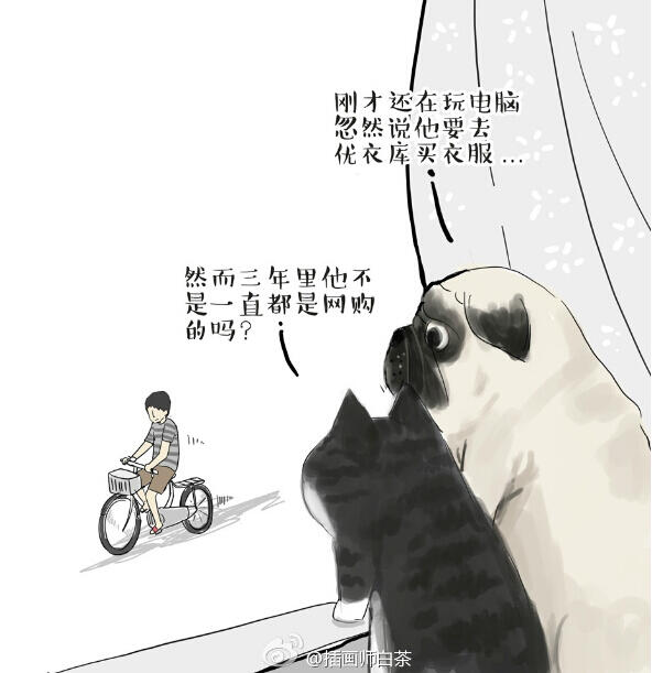 看白茶如何和中國風(fēng)插畫碰撞出火花