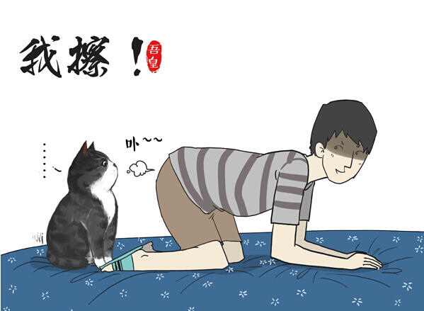 看白茶如何和中國風(fēng)插畫碰撞出火花