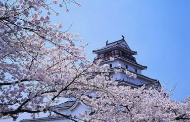 日本最好的藝術(shù)類大學都有誰？