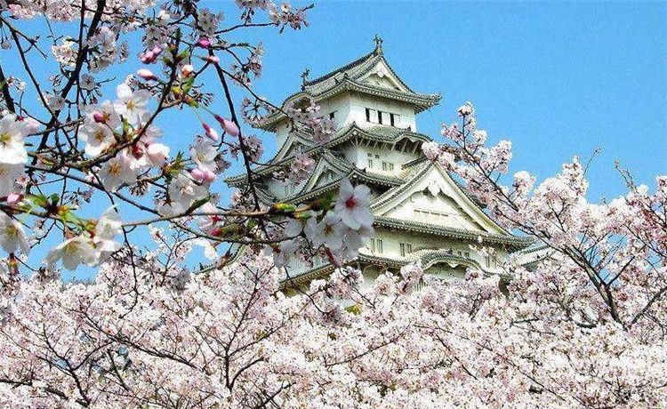日本早稻田大學(xué)花銷很高嗎？
