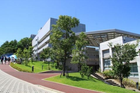 多摩美術大學世界排名及入學條件介紹