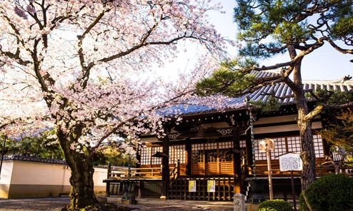 日本藝術(shù)大學(xué)分享，來康康你喜歡哪個！