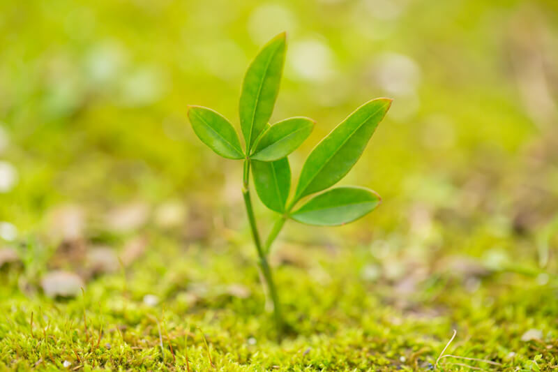 怎么樣？英國交通運(yùn)輸專業(yè)碩士申請要求