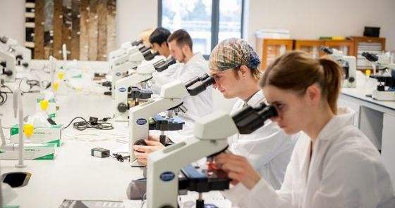 牛津大學(xué)生物醫(yī)學(xué)工程2022年世界排名多少？