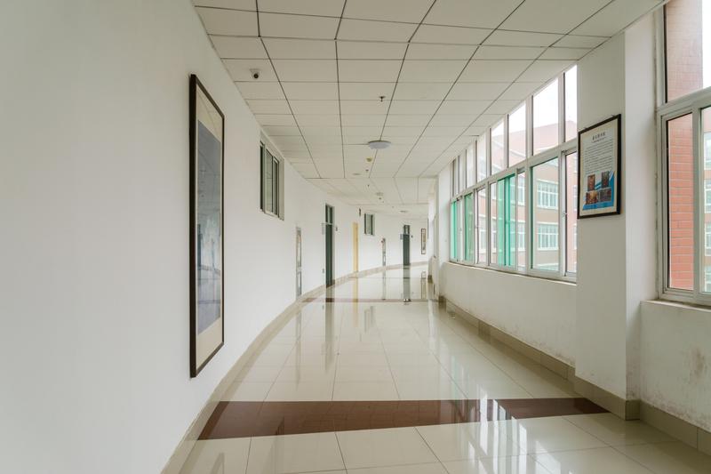 波爾多大學世界排名好不好