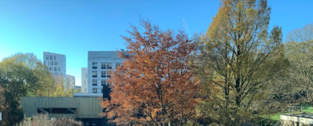 萊頓大學申請條件