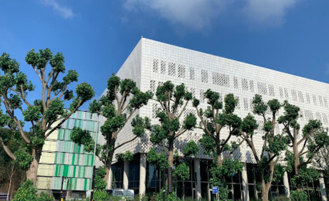 到香港讀研究生的申請流程和材料準備