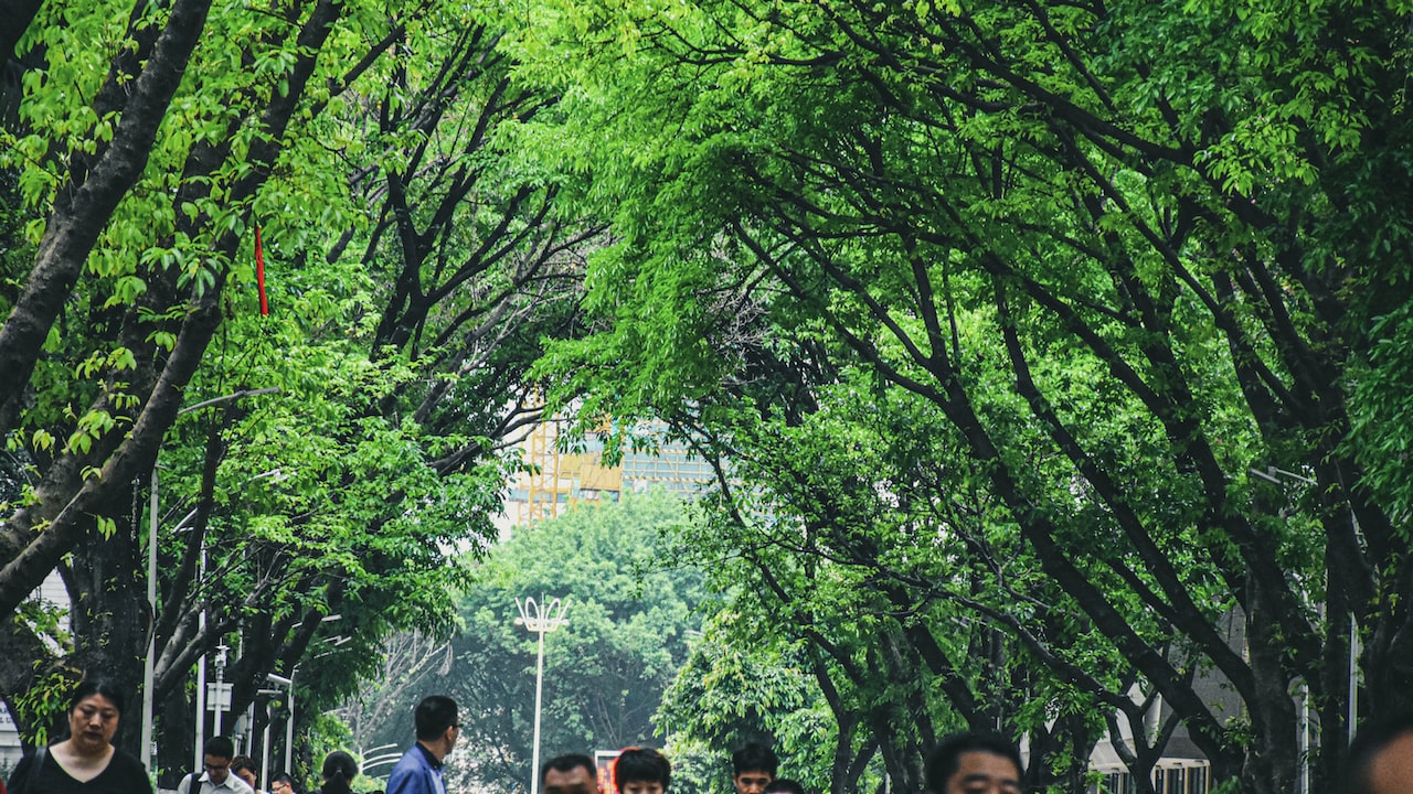 布魯克林音樂學(xué)院夏季音樂節(jié)