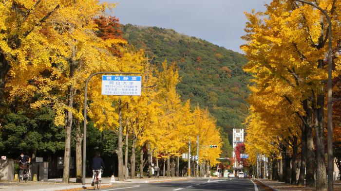 岡山大學(xué)申請